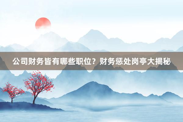 公司财务皆有哪些职位？财务惩处岗亭大揭秘
