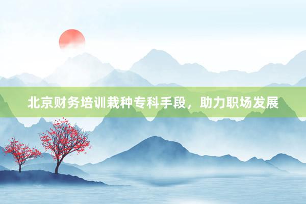 北京财务培训栽种专科手段，助力职场发展