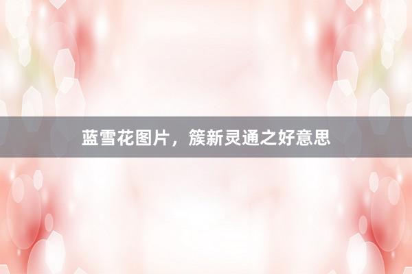 蓝雪花图片，簇新灵通之好意思