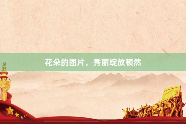 花朵的图片，秀丽绽放顿然