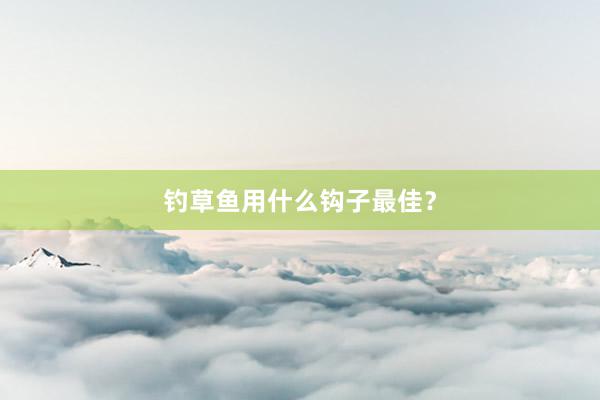 钓草鱼用什么钩子最佳？